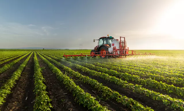 A tractor spraying a soybean field.