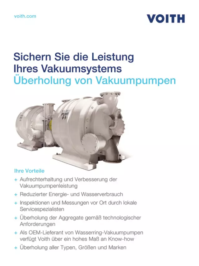 Sicher Sie die Leistung Ihres Vakuumsystems