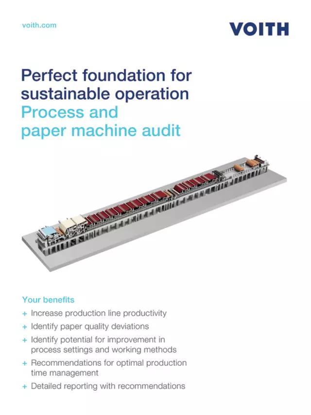 Process and paper machine audit
