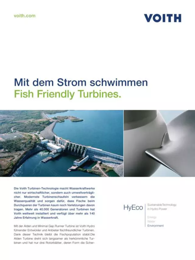 Fish-Friendly Turbines. Mit dem Strom schwimmen