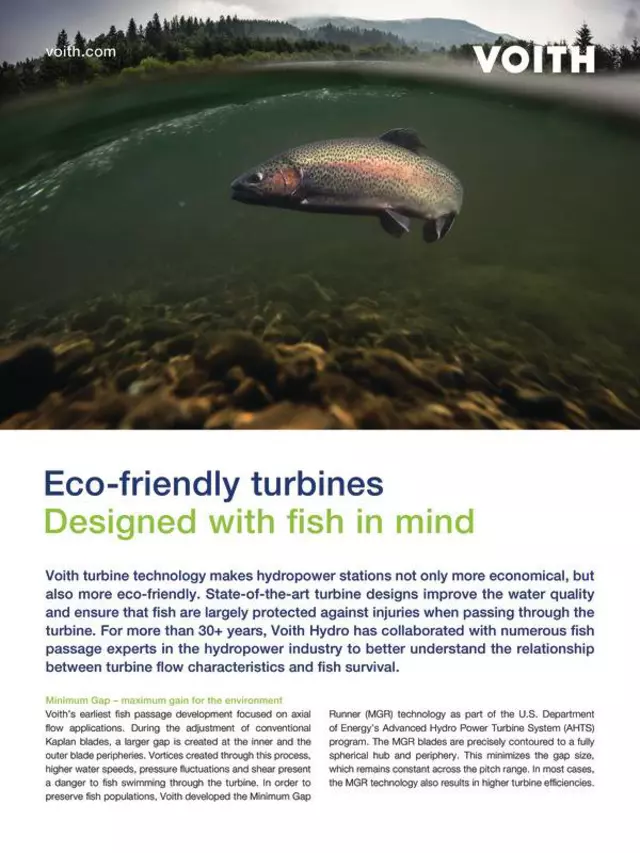 Eco-friendly turbines - Designed with fish in mind