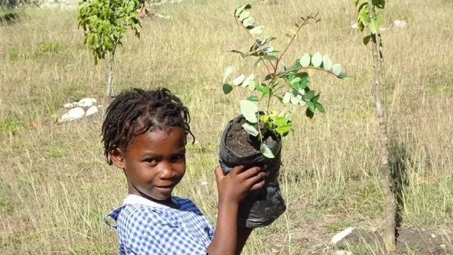 Soziale Absicherung und nachhaltiger Klimaschutz für Haiti