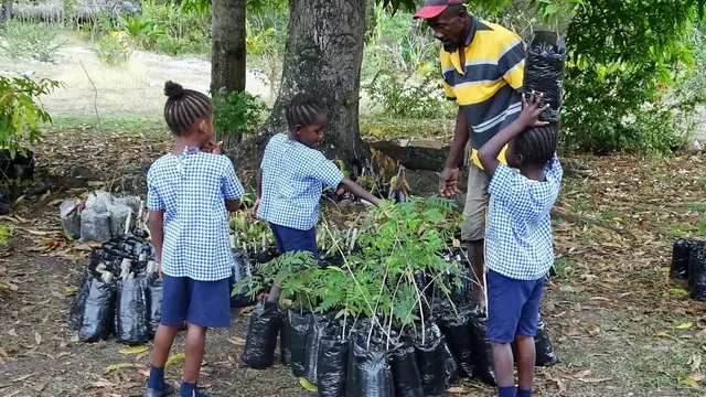 Soziale Absicherung und nachhaltiger Klimaschutz für Haiti