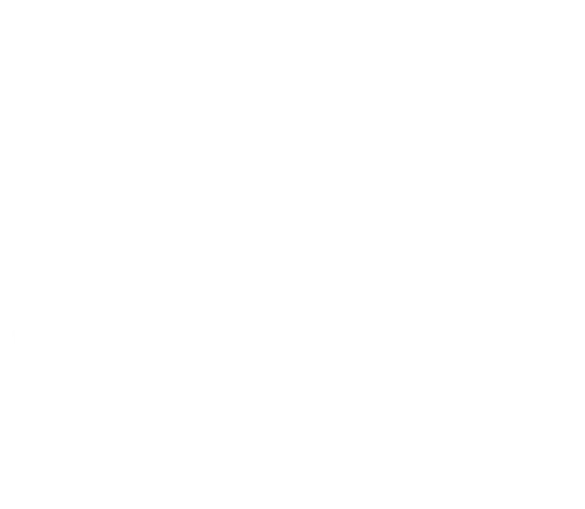 BHS Logo